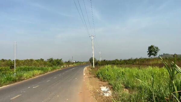 Chính chủ cần bán lô đất mặt tiền đường nhựa thông liên huyện từ Tân Hội Qua Đa Me